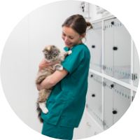 Choose any vetinary clinic with Moo Pet, Dubai