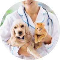 Full transparency from Moo Pet Insurance, Dubai